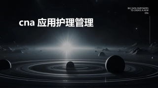 CNA应用护理管理