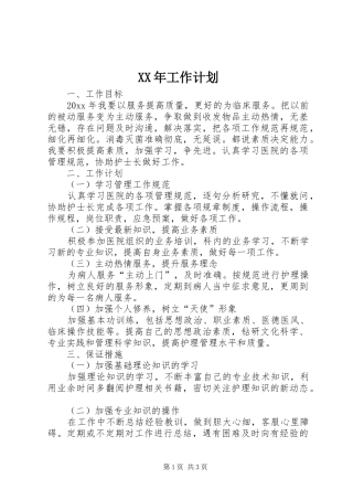 XX年工作计划 