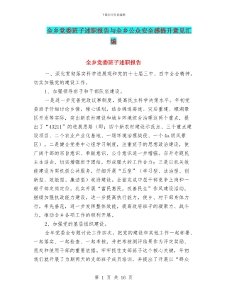 全乡党委班子述职报告与全乡公众安全感提升意见汇编