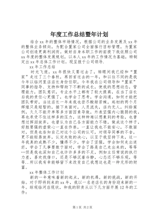 年度工作总结暨年计划 