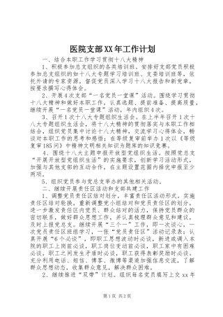 医院支部XX年工作计划 