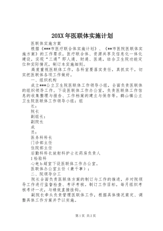 20XX年医联体实施计划 (3)