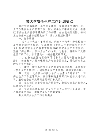 某大学安全生产工作计划要点 