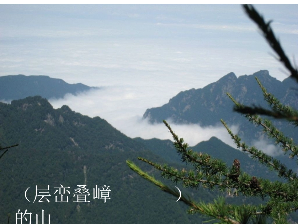 ②美丽的武夷山_第3页