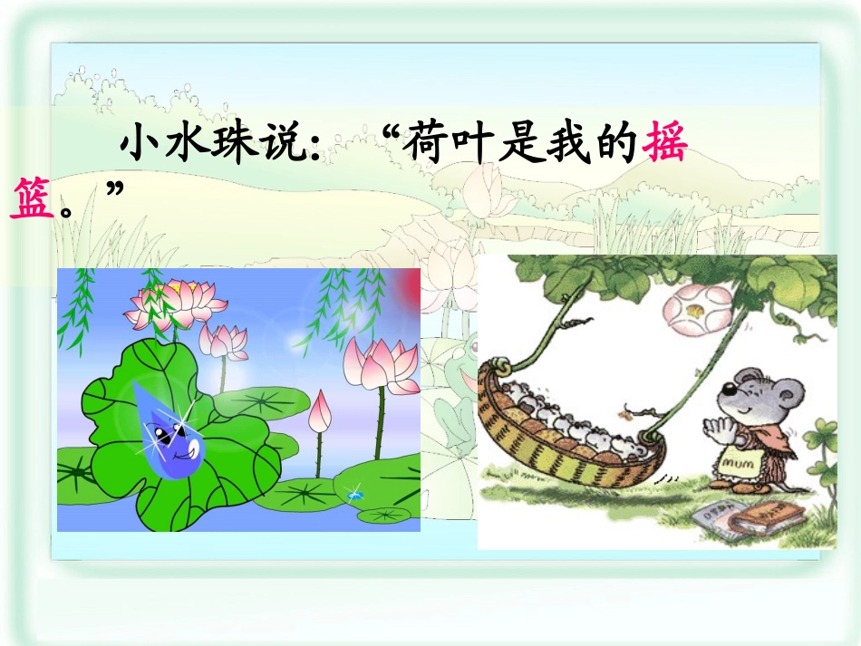 14荷叶圆圆_第3页