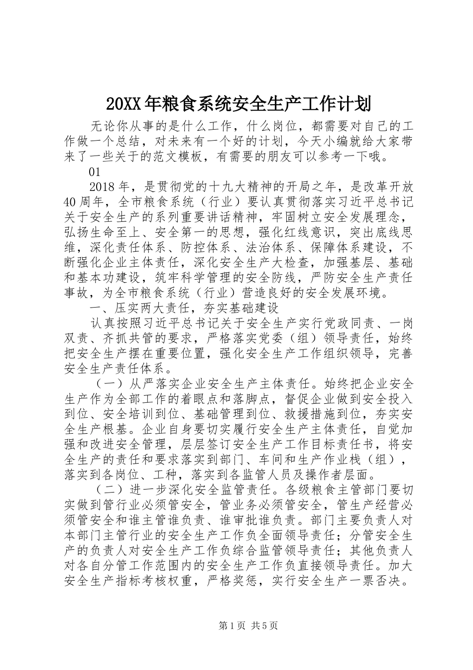 20XX年粮食系统安全生产工作计划_第1页