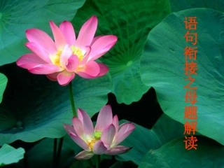 语句衔接之母题解读(解析版)