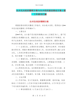 全乡民兵组织整顿方案与全乡组织建设推进方案2篇