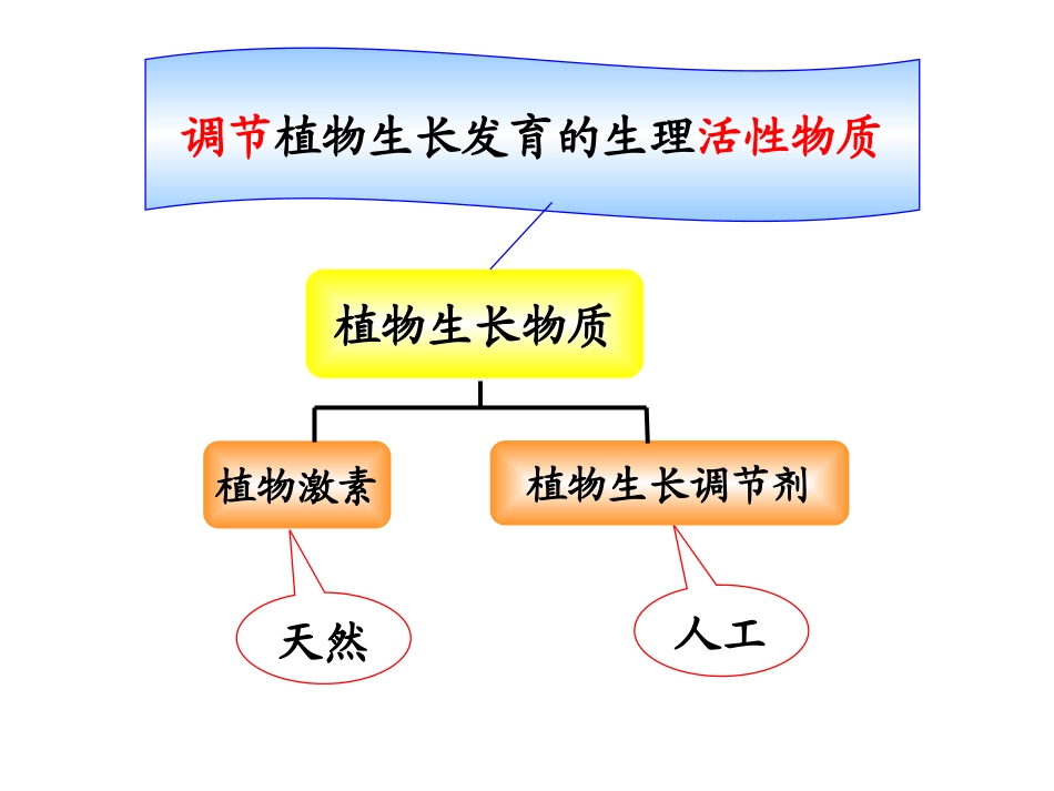植物生长物质_第2页