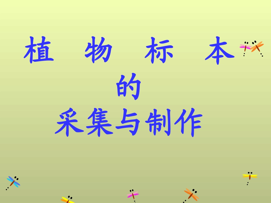 植物标本制作 课件_第2页