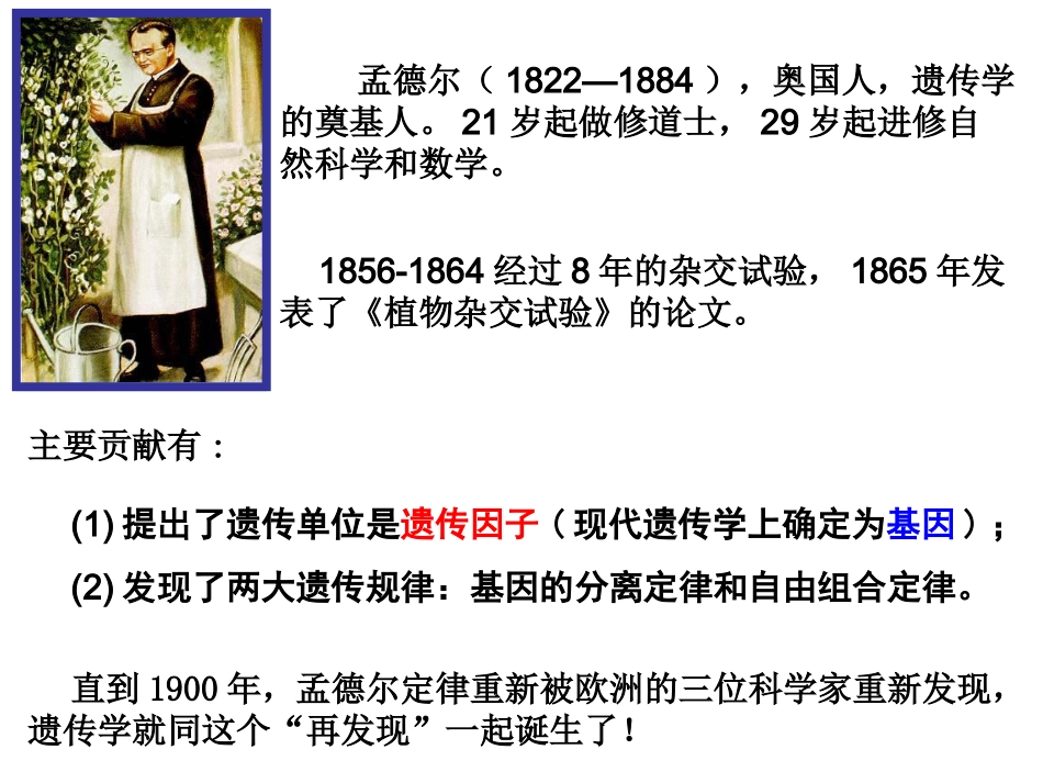 分离规律(正式)_第3页