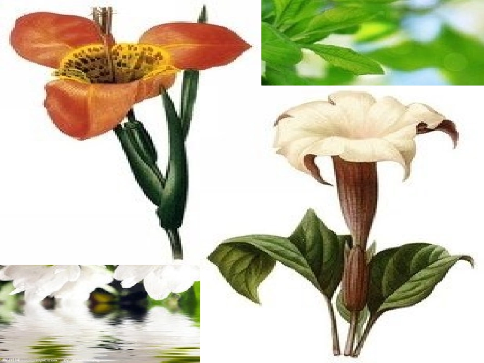 小学生心理健康教育主题班会_幻灯片_第3页