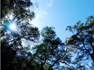 乌鸦喝水演示文稿