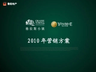 经典分享——某别墅营销方案最终版