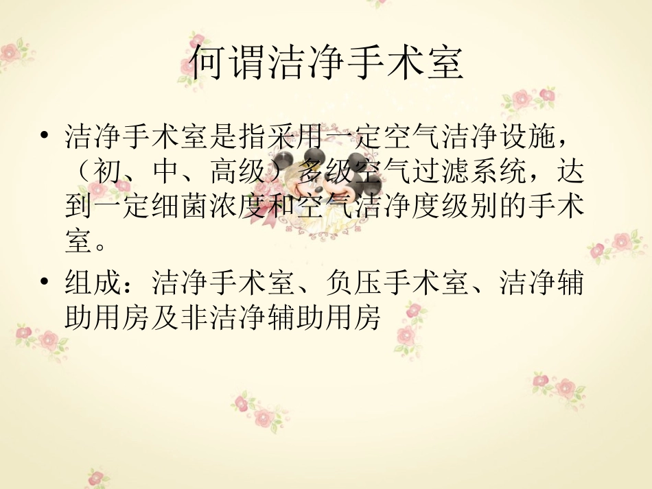 洁净手术室的布局与管理.ppt田瑶_第3页