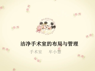 洁净手术室的布局与管理.ppt田瑶
