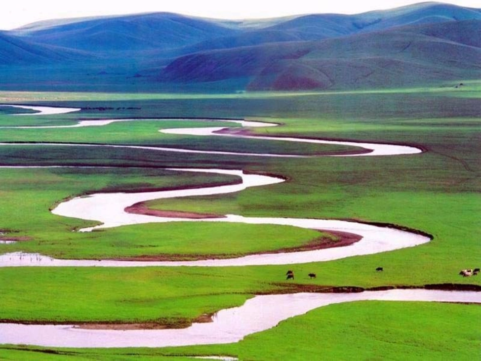 北师大版四年级语文-草原课件_第3页