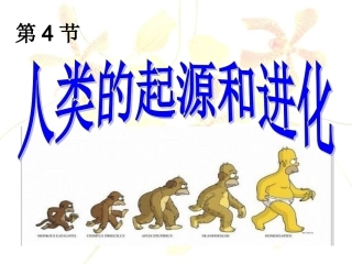 第4节人类的起源和进化