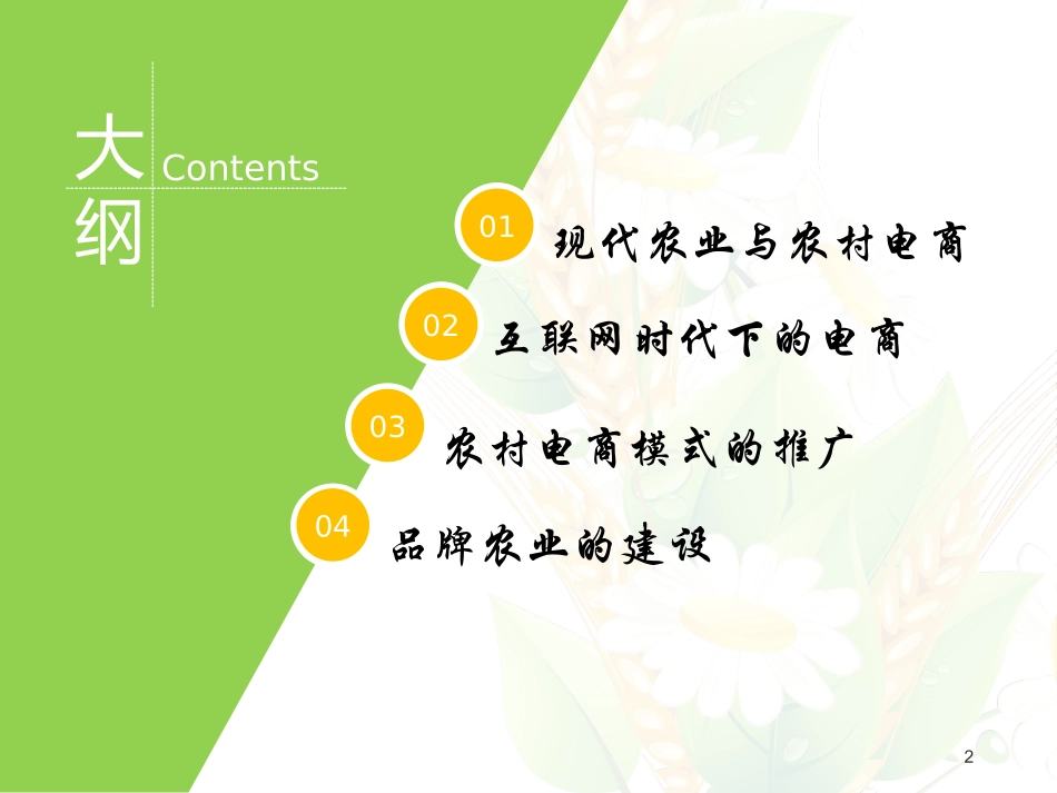 农村电子商务与品牌农业建设_第2页