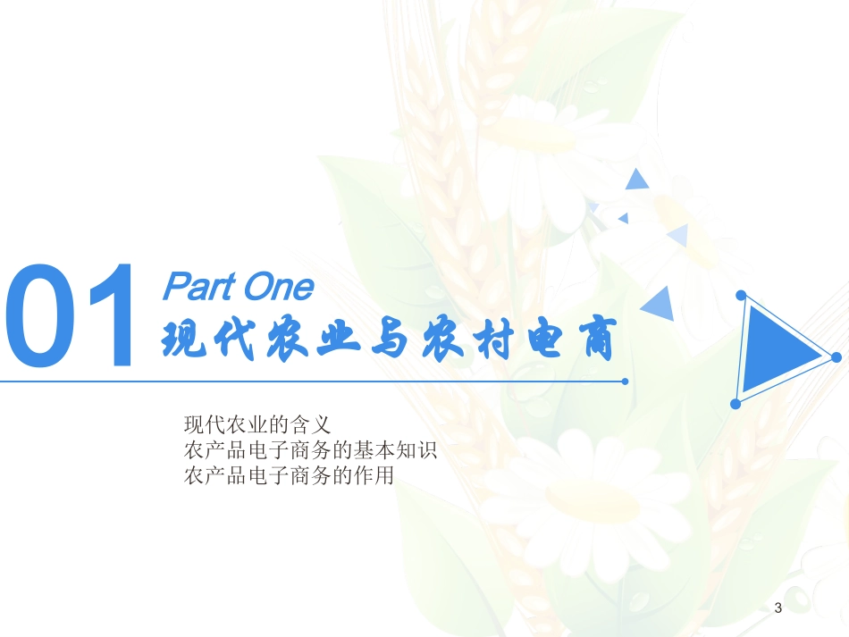 农村电子商务与品牌农业建设_第3页