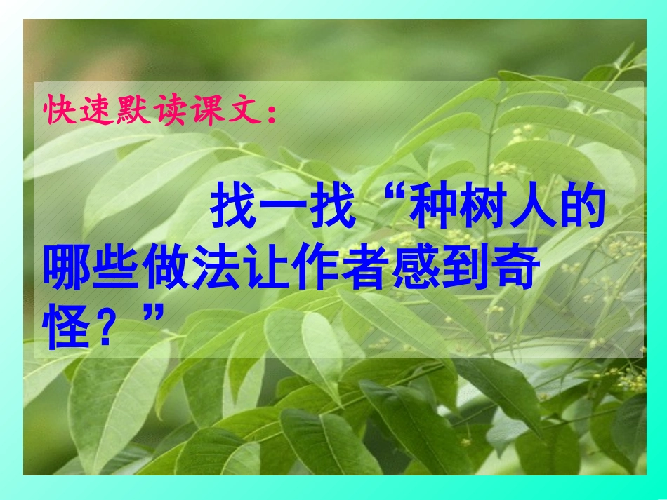 桃花心木--主旨的深入理解_第2页