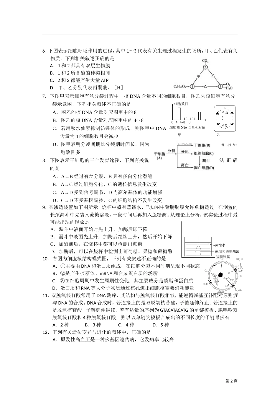 山东省威海市2014届高三下学期第一次模拟考试生物试题_第2页