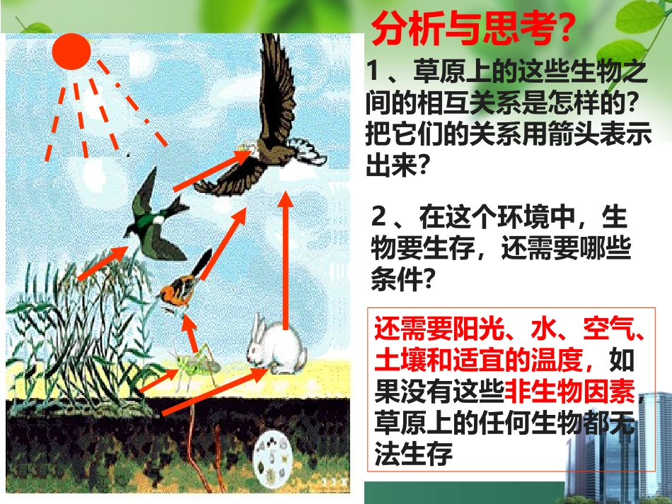 生物与环境组成生态系统_第2页