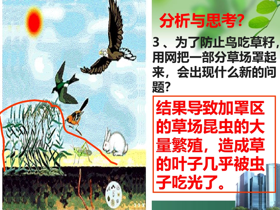 生物与环境组成生态系统_第3页