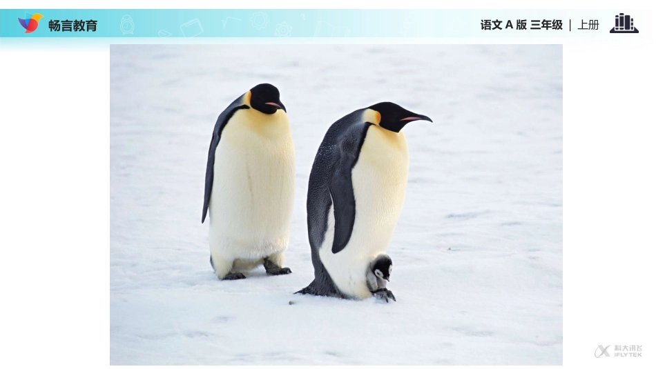 【教学课件】《登上企鹅岛》(语文A版)_第3页
