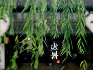 在农历的天空下-二十四节气之处暑