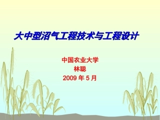 沼气工程技术与工艺