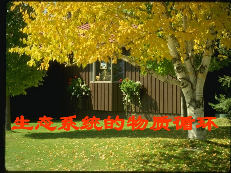 生态系统的物质循环ppt_第1页