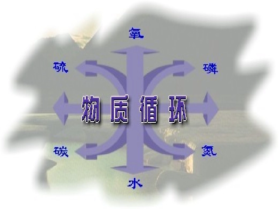 生态系统的物质循环ppt_第2页