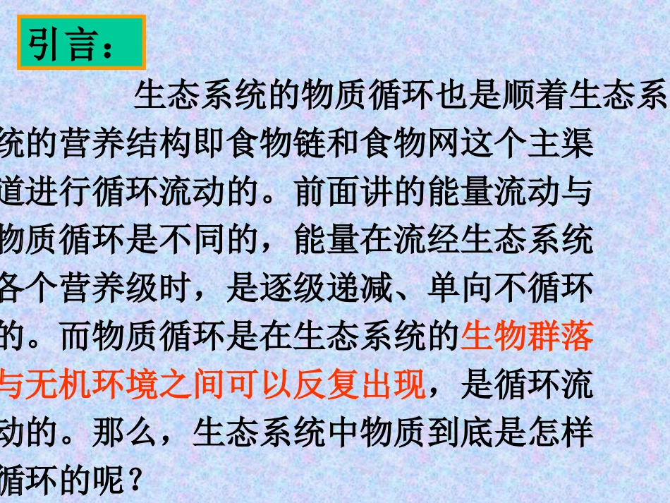 生态系统的物质循环ppt_第3页