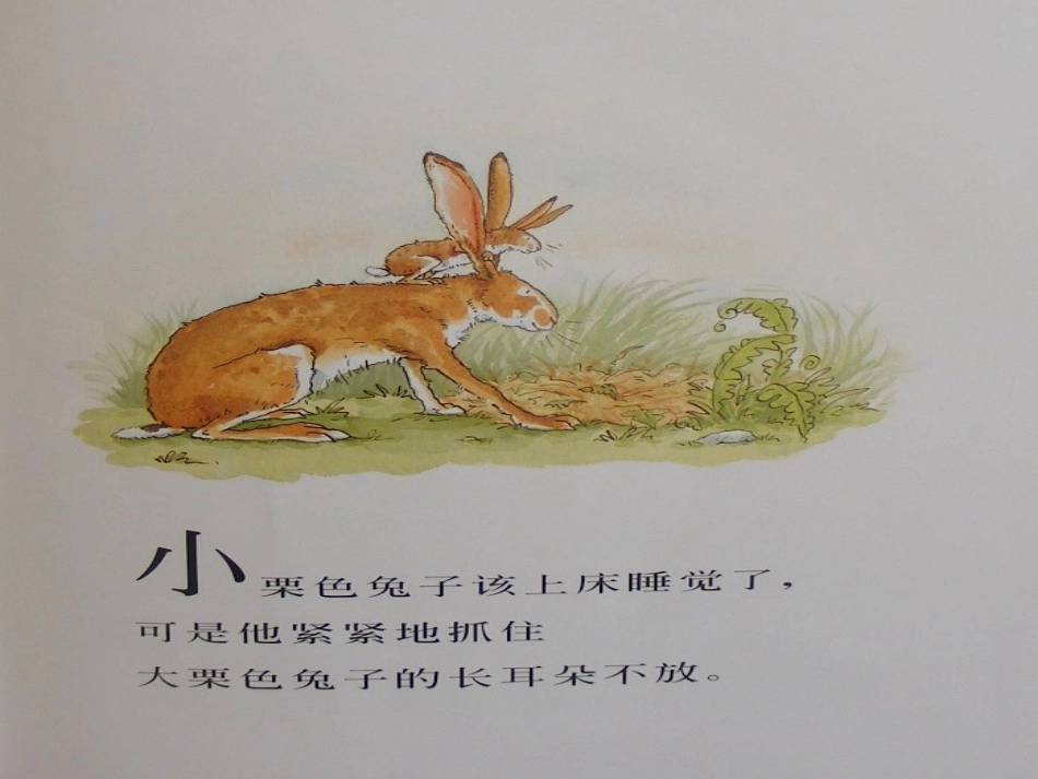 猜猜我有多爱你_第3页