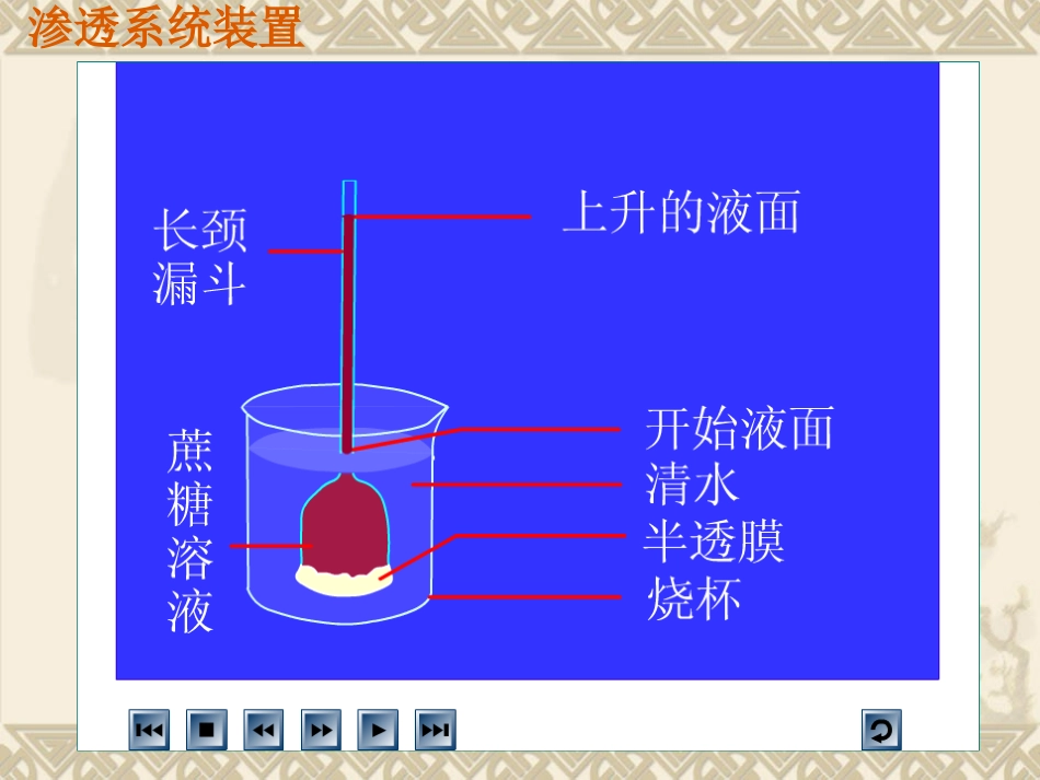 物质跨膜运输的实例PPT_第2页
