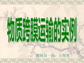 物质跨膜运输的实例PPT