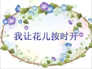 《14-我让花儿按时开》课件