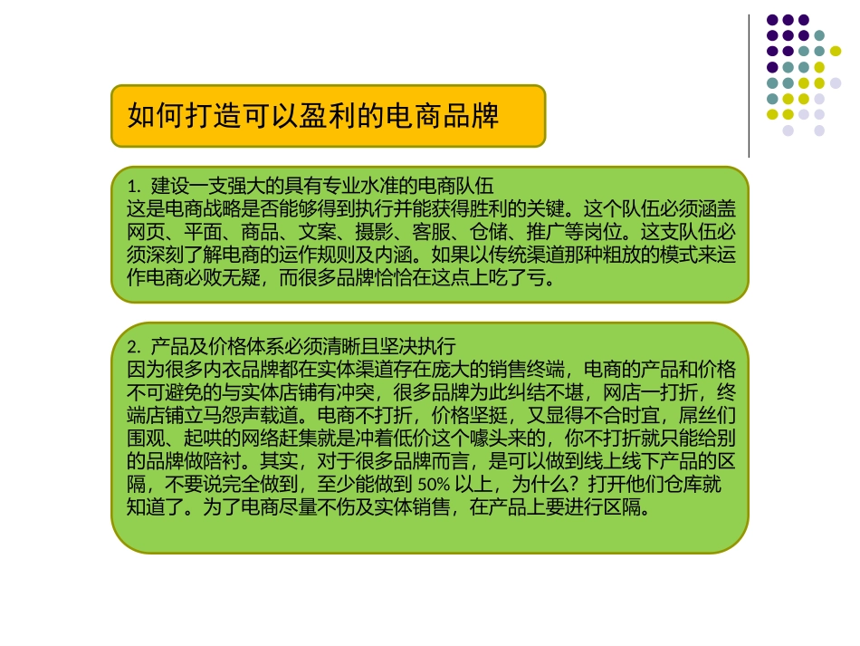 品牌电商运营方案_第2页