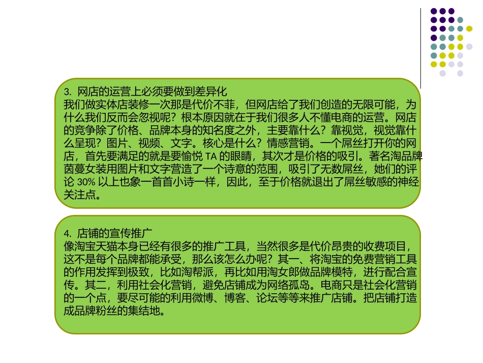 品牌电商运营方案_第3页