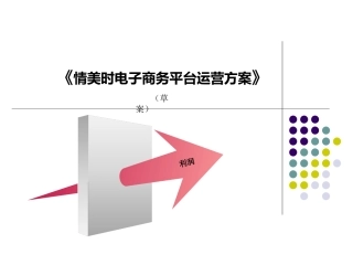 品牌电商运营方案