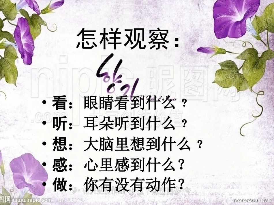 观察日记作文指导_第2页