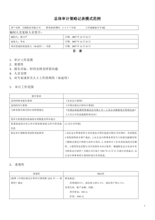 总体审计策略记录模式范例