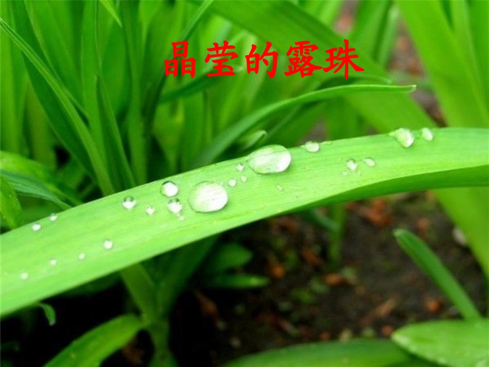 我4.2《探究汽化和液化的特点》PPT课件_第3页