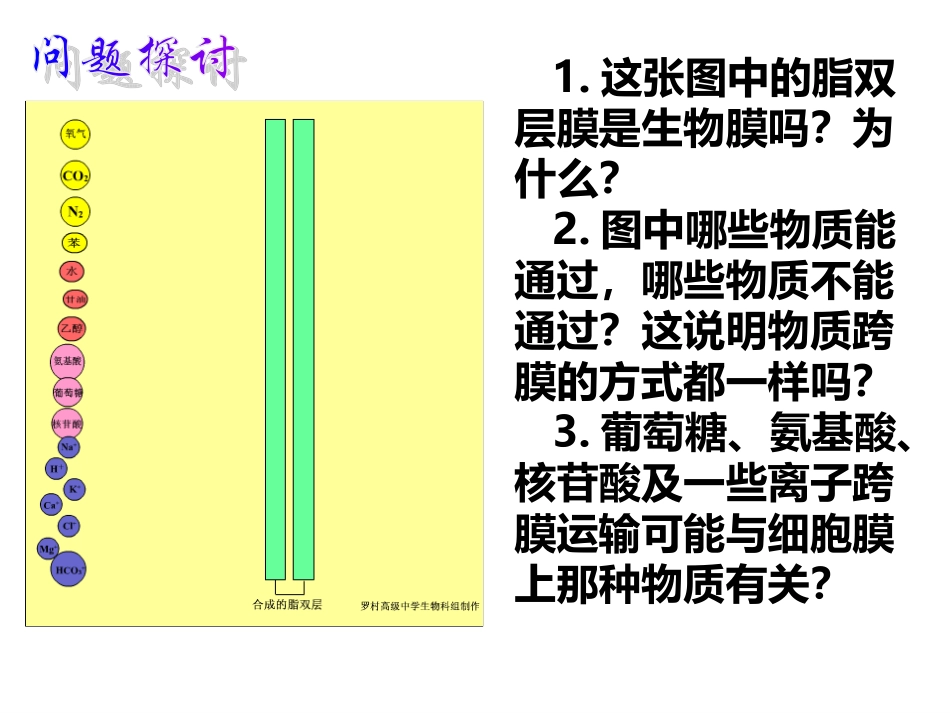 物质跨膜运输的方式-ppt_第3页