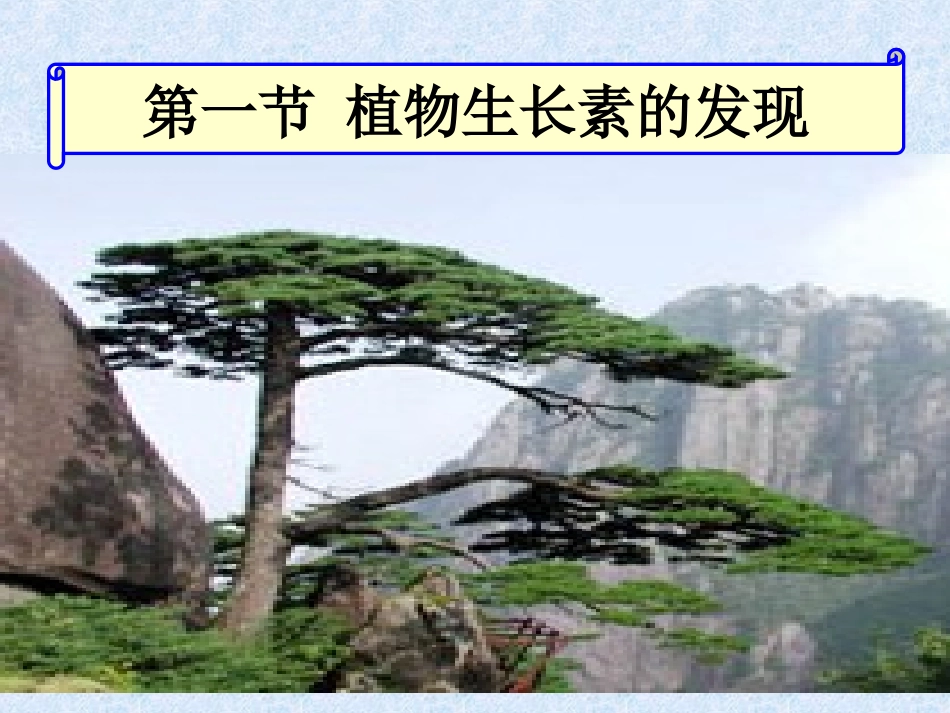 植物生长素的发现PPT课件_第1页