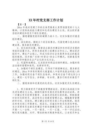 XX年村党支部工作计划 