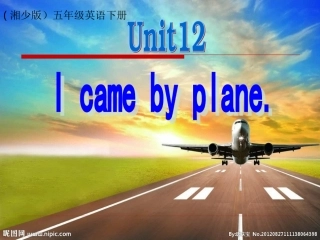 Unit12Icamebyplane课件