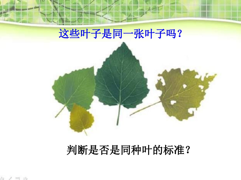 教科小学科学三上《1.6、植物发生了什么变化》PPT课件(12)_第2页