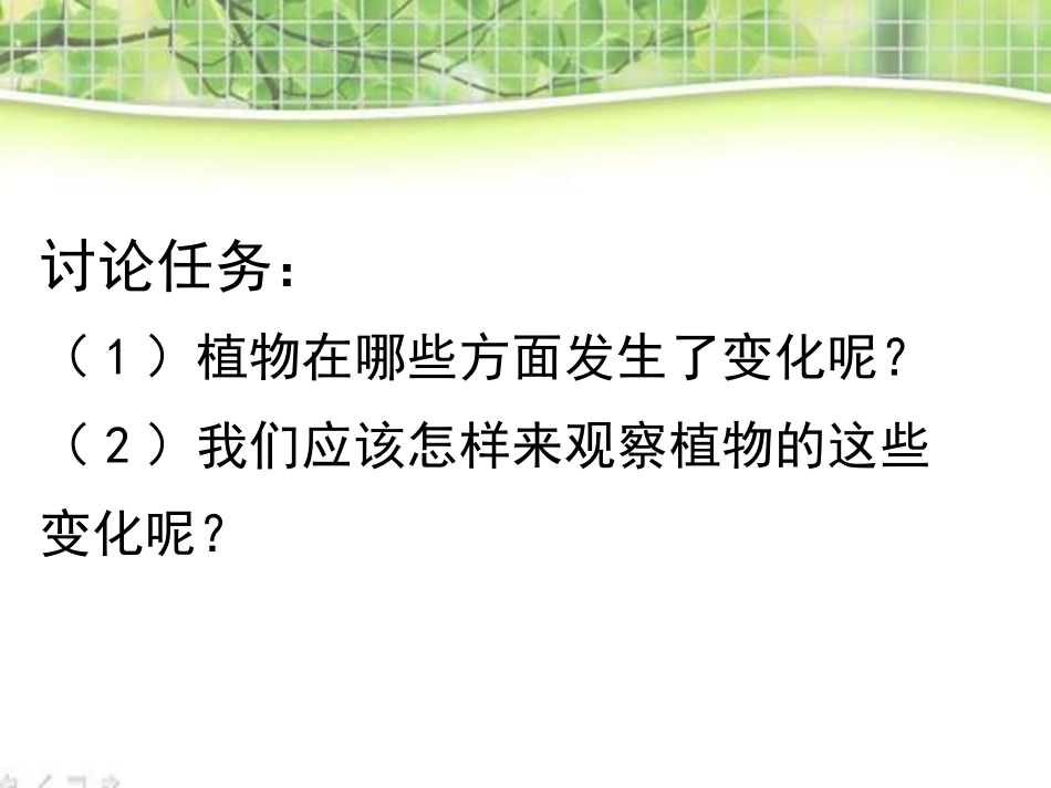 教科小学科学三上《1.6、植物发生了什么变化》PPT课件(12)_第3页